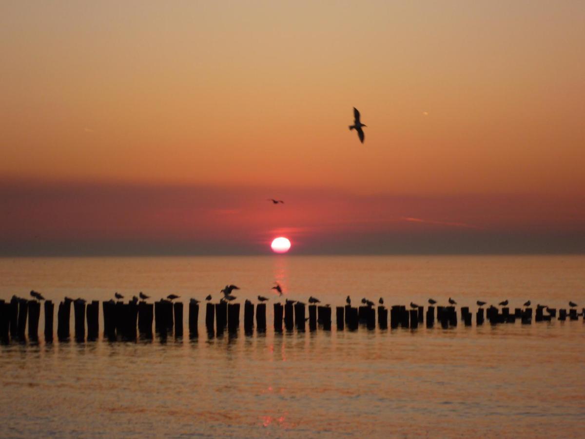 Vakantiebungalow Domburg Do01 Zewnętrze zdjęcie